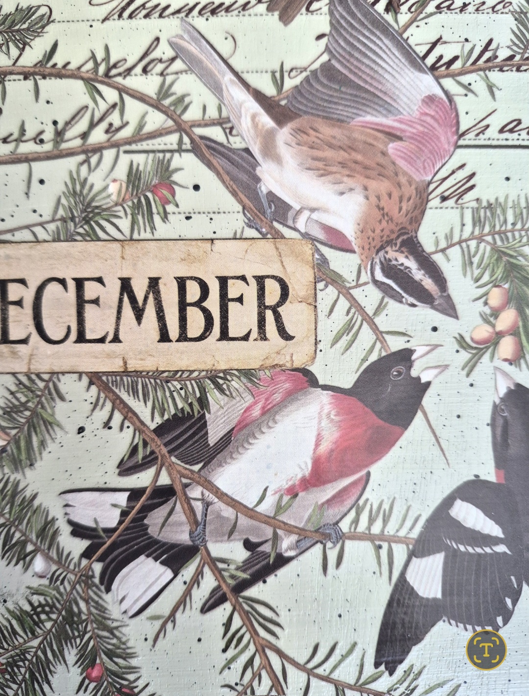 Vintage Birds Wall Art (photo 4 of 6)
