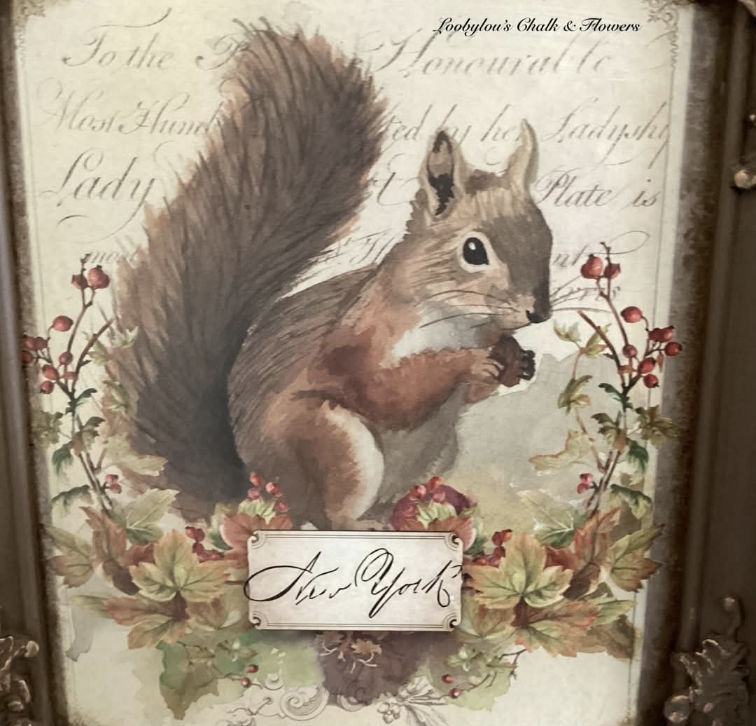 A Framed Squirrel Picture  (photo 1 of 2)