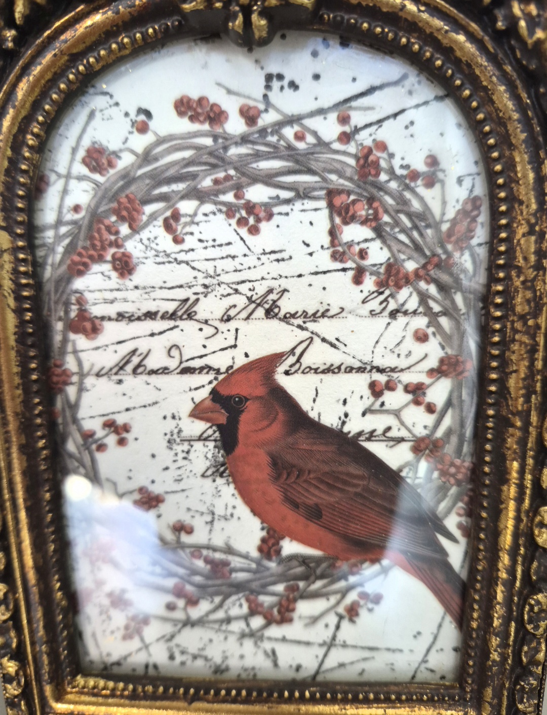 Cardinal Bird Ornate Resin Frame  (photo 3 of 5)