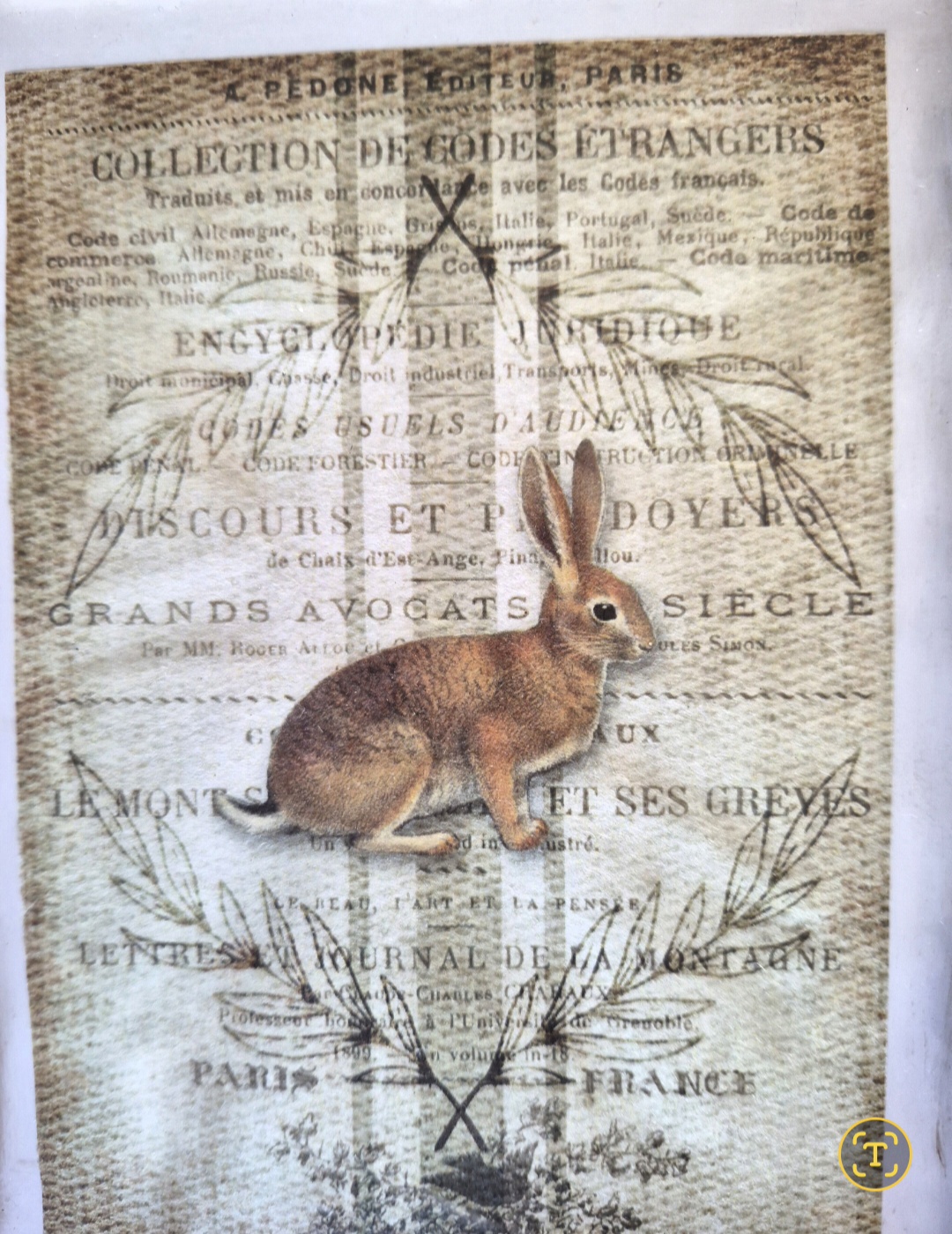 Country Hare Framed Picture (photo 2 of 3)